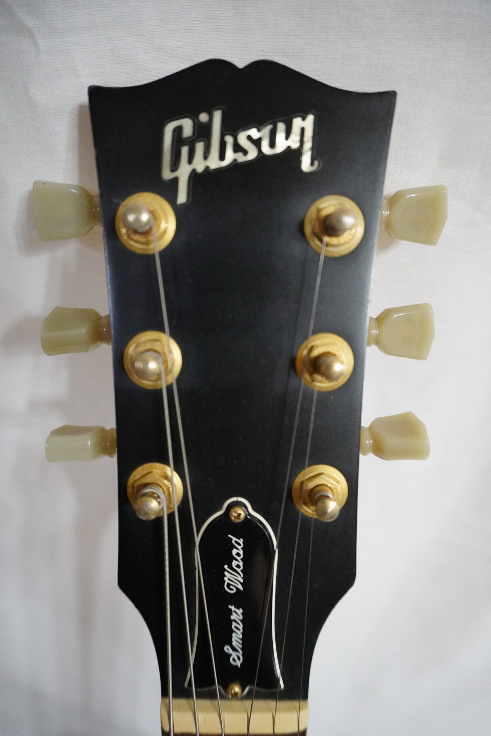 Gibson Smartwood Les Paul – Palmarosaneroli